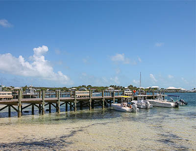 Grabbers at Sunset on Guana Cay