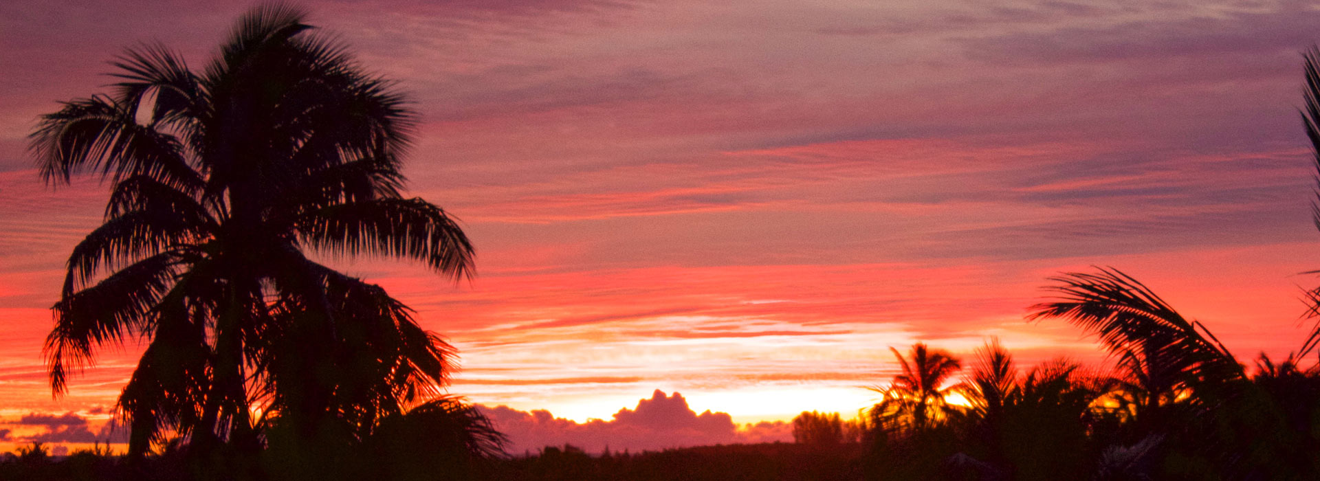 Great Guana Cay in Abaco, The Bahamas